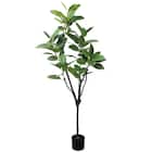 フェイクグリーン(高さ150cm フィカスアルテシマ GLP-1569) 1枚目画像