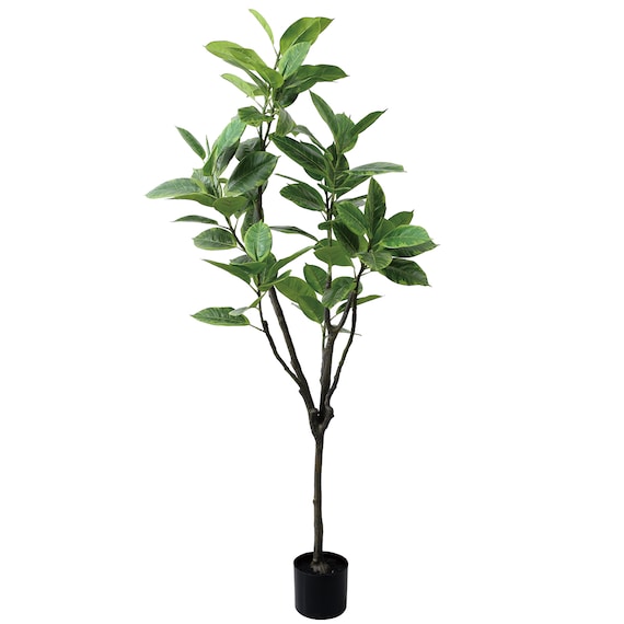 フェイクグリーン(高さ150cm フィカスアルテシマ GLP-1569) 1枚目画像