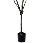 フェイクグリーン(高さ150cm フィカスアルテシマ GLP-1569) 4枚目画像