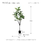 フェイクグリーン(高さ150cm フィカスアルテシマ GLP-1569) 5枚目画像