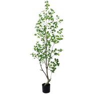 フェイクグリーン(高さ180cm フィカストライアンギュラス  GLP-1570)