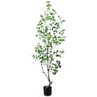 フェイクグリーン(高さ180cm フィカストライアンギュラス GLP-1570) 1枚目画像