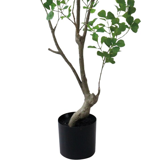 フェイクグリーン(高さ180cm フィカストライアンギュラス GLP-1570) 4枚目画像