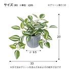 フェイクグリーン 2個セット(高さ20cm ワンダリングジュー GLA-1590) 5枚目画像
