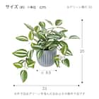 フェイクグリーン 2個セット(高さ20cm ワンダリングジュー GLA-1590) 5枚目画像