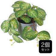 【セット販売】フェイクグリーン(高さ17cm カラテアポット GLA-1592)