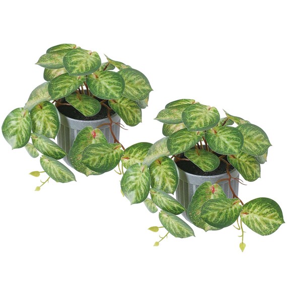 フェイクグリーン 2個セット(高さ17cm カラテアポット GLA-1592) 2枚目画像