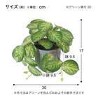 フェイクグリーン 2個セット(高さ17cm カラテアポット GLA-1592) 5枚目画像