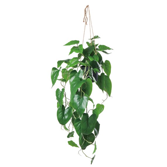 フェイクグリーン(ハンギングポット GLA-1559 フィロー) 1枚目画像