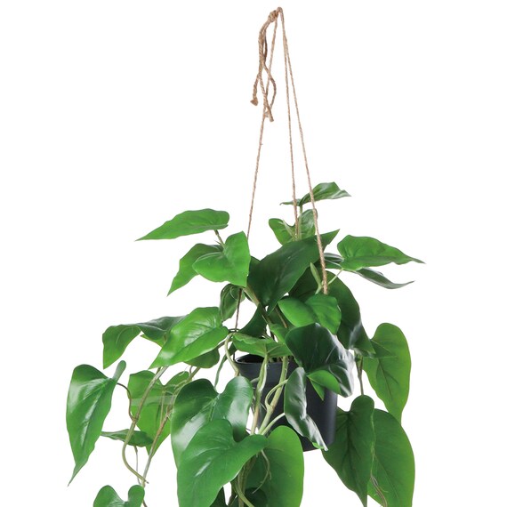 フェイクグリーン(ハンギングポット GLA-1559 フィロー) 2枚目画像