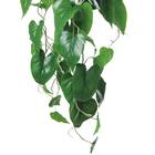 フェイクグリーン(ハンギングポット GLA-1559 フィロー) 3枚目画像