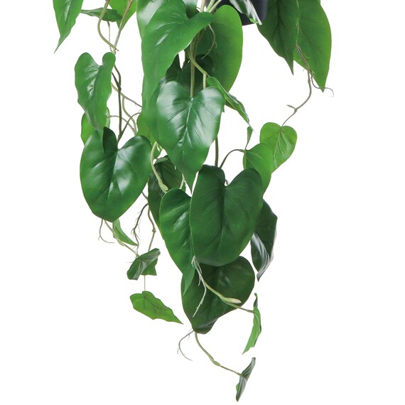 フェイクグリーン(ハンギングポット GLA-1559 フィロー) 3枚目画像