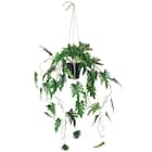 フェイクグリーン(ハンギングポット GLA-1560 クッカバラ) 1枚目画像