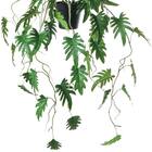 フェイクグリーン(ハンギングポット GLA-1560 クッカバラ) 3枚目画像