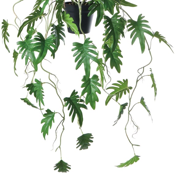 フェイクグリーン(ハンギングポット GLA-1560 クッカバラ) 3枚目画像