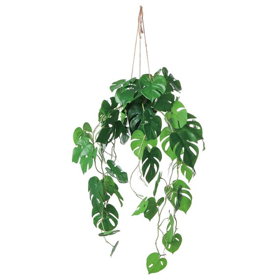 フェイクグリーン(ハンギングポット GLA-1561 ヒメモンス) 1枚目画像