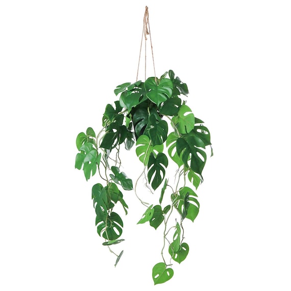 フェイクグリーン(ハンギングポット GLA-1561 ヒメモンス) 1枚目画像