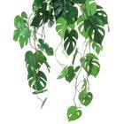 フェイクグリーン(ハンギングポット GLA-1561 ヒメモンス) 3枚目画像