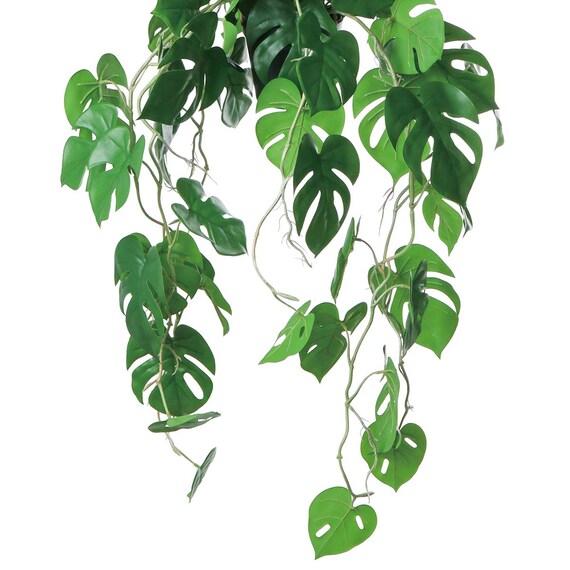 フェイクグリーン(ハンギングポット GLA-1561 ヒメモンス) 3枚目画像