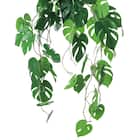 フェイクグリーン(ハンギングポット GLA-1561 ヒメモンス) 3枚目画像