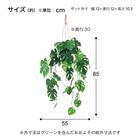 フェイクグリーン(ハンギングポット GLA-1561 ヒメモンス) 4枚目画像