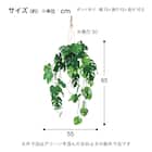 フェイクグリーン(ハンギングポット GLA-1561 ヒメモンス) 4枚目画像