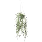 フェイクグリーン(ハンギングポット GLA-1530 ウィロー) 1枚目画像