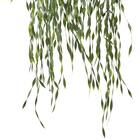 フェイクグリーン(ハンギングポット GLA-1530 ウィロー) 3枚目画像