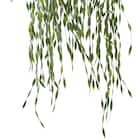 フェイクグリーン(ハンギングポット GLA-1530 ウィロー) 3枚目画像