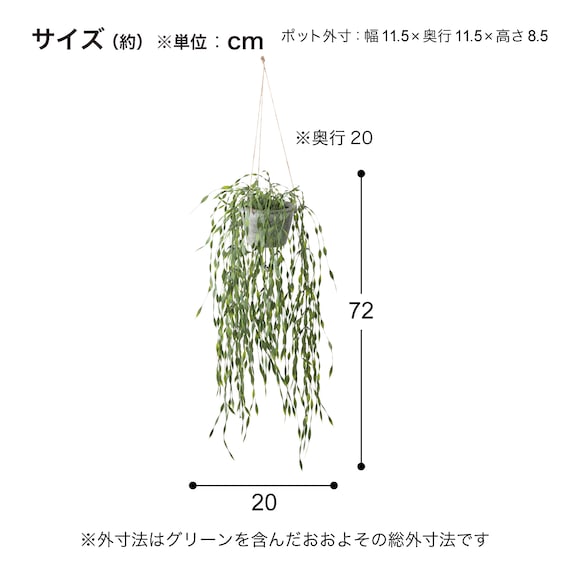 フェイクグリーン(ハンギングポット GLA-1530 ウィロー) 5枚目画像