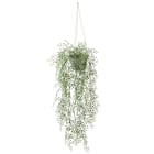 フェイクグリーン(ハンギングポット GLA-1531 ベビーリーフ) 1枚目画像