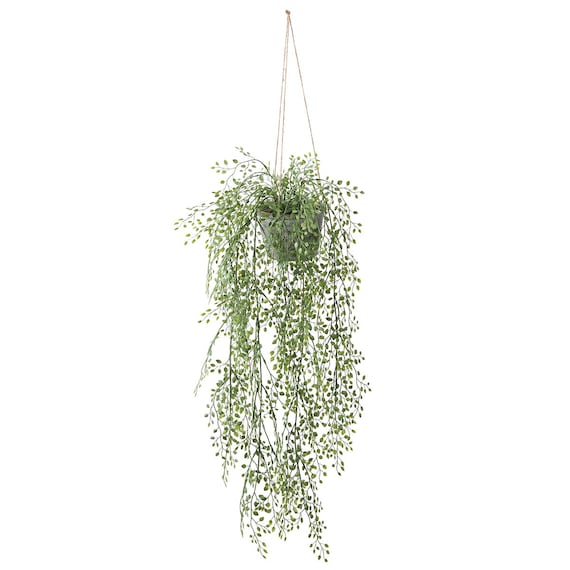 フェイクグリーン(ハンギングポット GLA-1531 ベビーリーフ) 1枚目画像