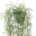 フェイクグリーン(ハンギングポット GLA-1531 ベビーリーフ) 2枚目画像