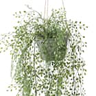フェイクグリーン(ハンギングポット GLA-1531 ベビーリーフ) 2枚目画像