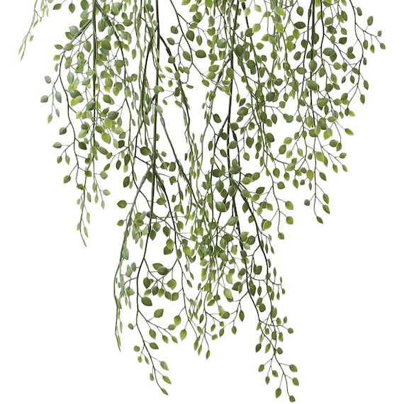 フェイクグリーン(ハンギングポット GLA-1531 ベビーリーフ) 3枚目画像