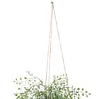 フェイクグリーン(ハンギングポット GLA-1531 ベビーリーフ) 4枚目画像