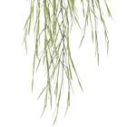 フェイクグリーン(ハンギングポット GLA-1532 リプサリス) 3枚目画像