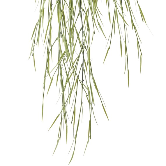 フェイクグリーン(ハンギングポット GLA-1532 リプサリス) 3枚目画像