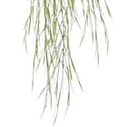 フェイクグリーン(ハンギングポット GLA-1532 リプサリス) 3枚目画像