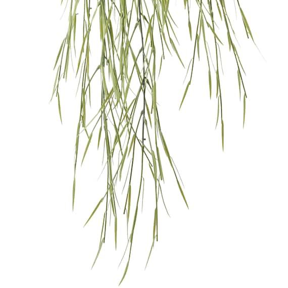 フェイクグリーン(ハンギングポット GLA-1532 リプサリス) 3枚目画像