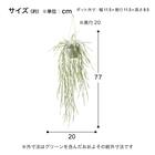 フェイクグリーン(ハンギングポット GLA-1532 リプサリス) 5枚目画像