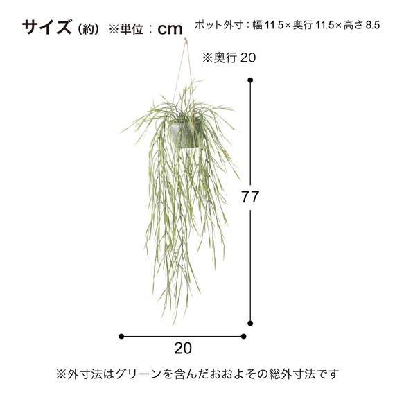 フェイクグリーン(ハンギングポット GLA-1532 リプサリス) 5枚目画像