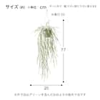 フェイクグリーン(ハンギングポット GLA-1532 リプサリス) 5枚目画像