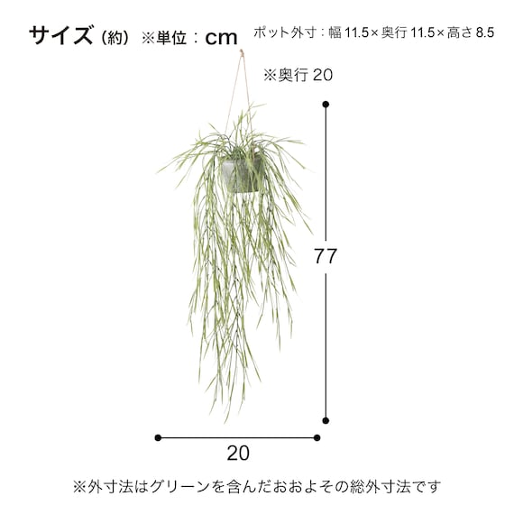 フェイクグリーン(ハンギングポット GLA-1532 リプサリス) 5枚目画像
