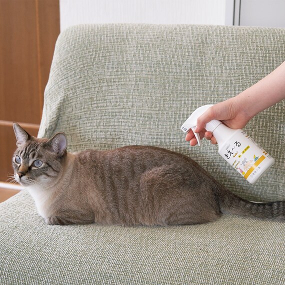 きえーるペット用 280ML 3枚目画像