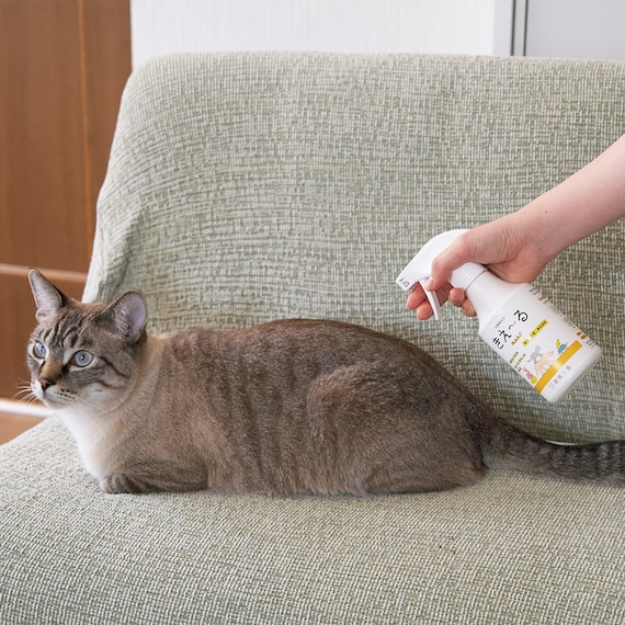 きえーるペット用 280ML 3枚目画像
