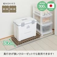 組み合わせて使えるジョイントパレット(30×30cm 2個セット)