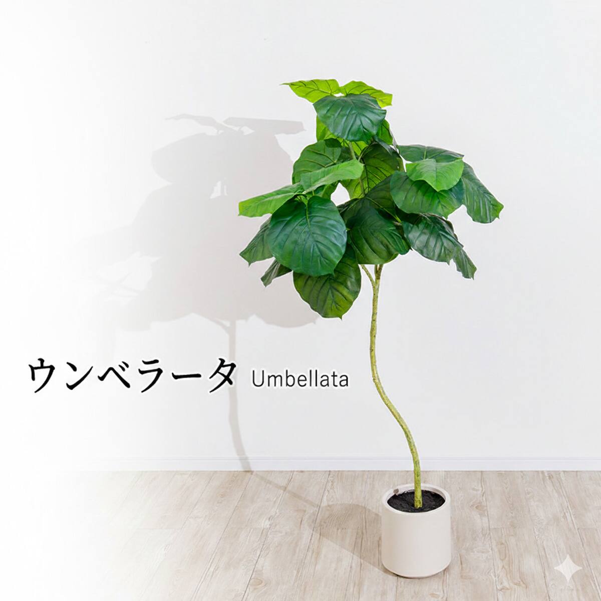 フェイクグリーン 155cm (ウンベラータ SN) | ニトリネット【公式