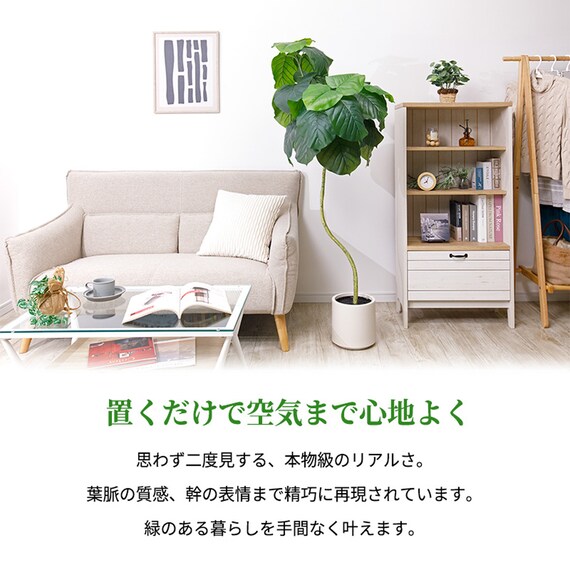 フェイクグリーン 155cm (ウンベラータ SN) 2枚目画像