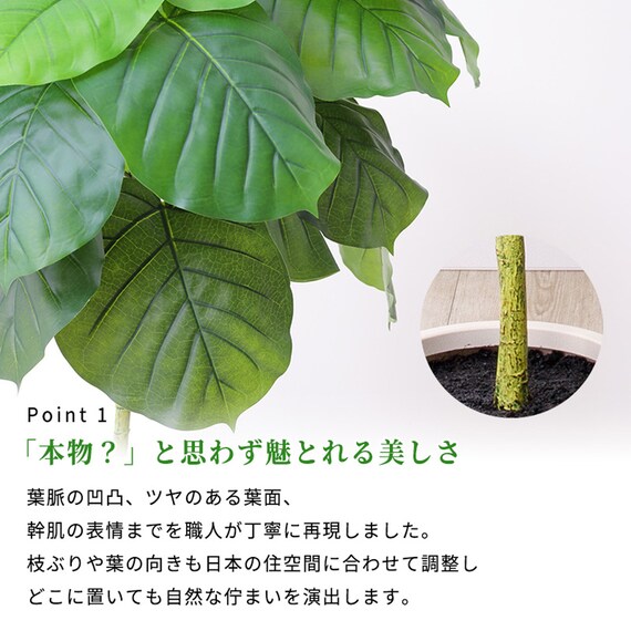 フェイクグリーン 155cm (ウンベラータ SN) 4枚目画像